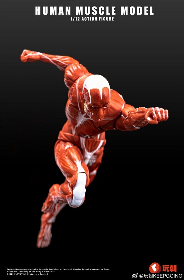 KEEPGOING – Human Muscle Model 1/12 Highly Articulated Figure (Licensed)