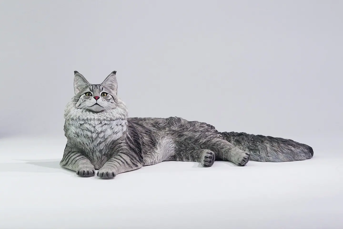 Lieji – 1/6 Maine Coon D2507A (Licensed)