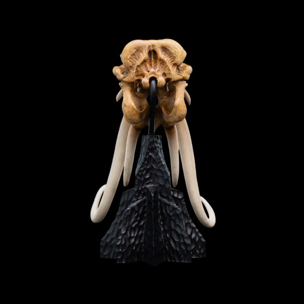 WETA Workshop Studio – SKULL OF A MÛMAK 86-13-04691 (Licensed)