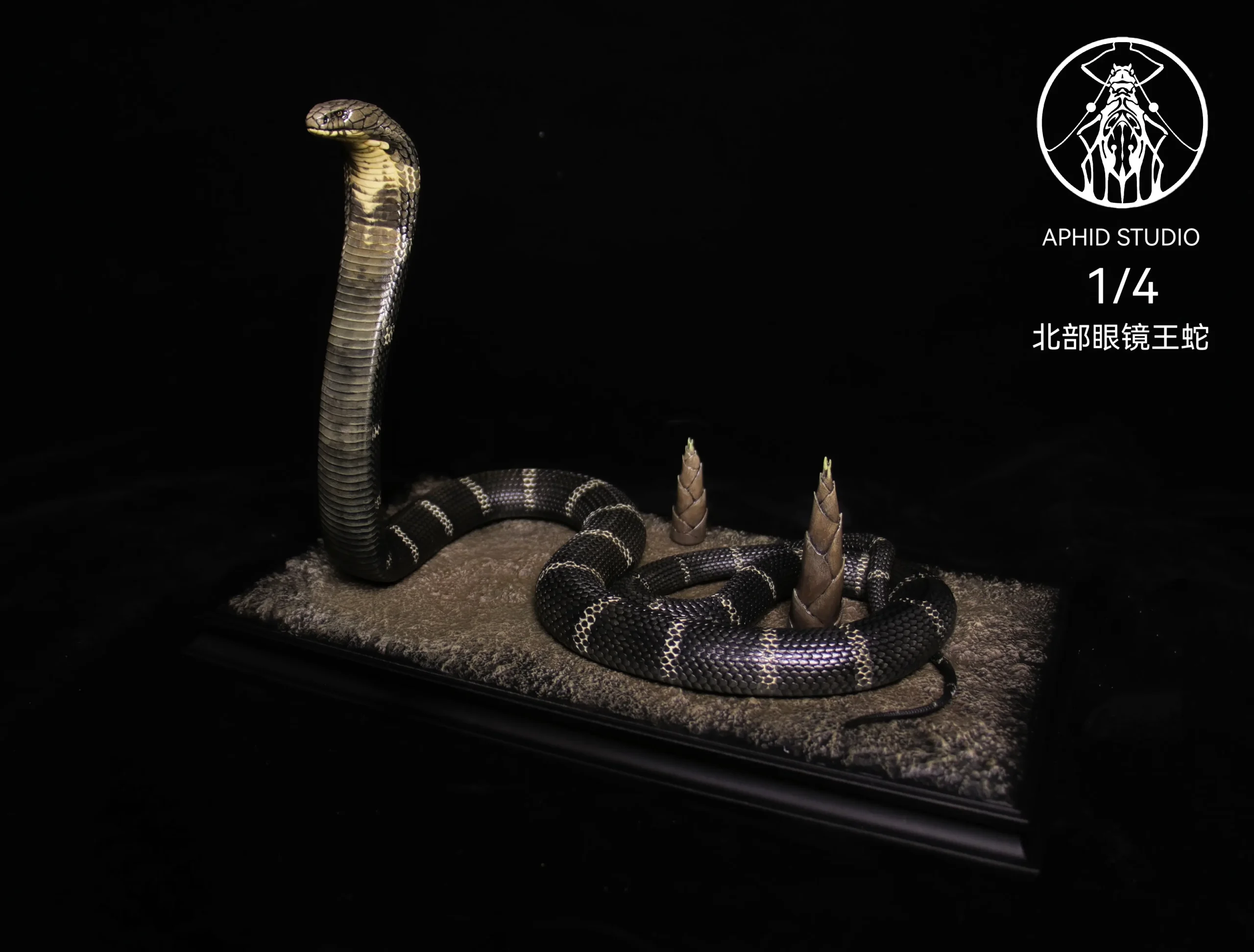 Aphid Studio – Northern King Cobra (Licensed)