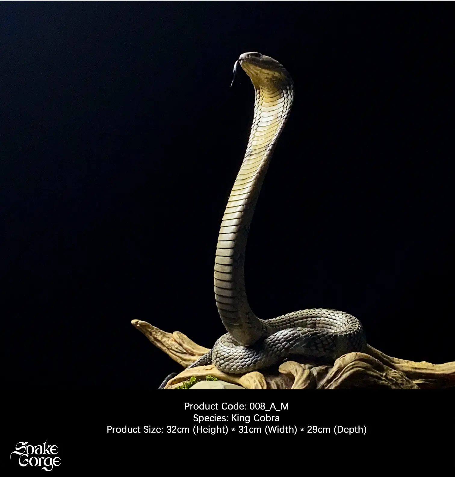 Snakegorge – King Cobra (Licensed)